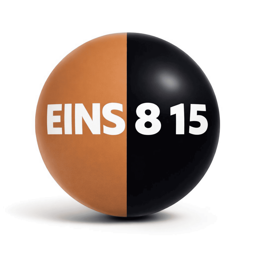 EINS-8-15